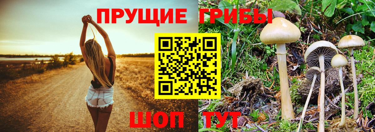 Галлюциногенные грибы мухоморы  Галлюциногенные грибы прущие грибы  Саянск  Вход с VPN 