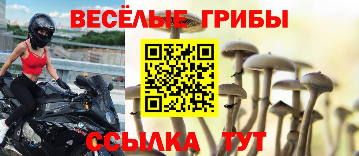 Галлюциногенные грибы ЛСД Саянск